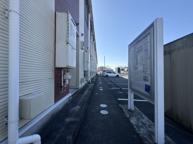 LEONEXT Gemare Oami Other