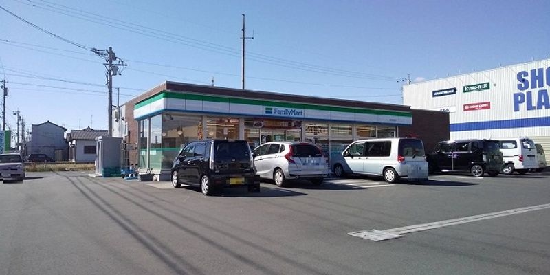 レオネクストあおい 周辺環境