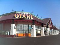 leopalace Leaf Green Môi trường xung quanh