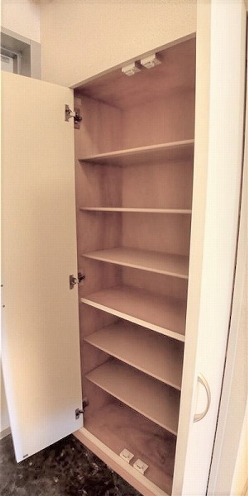 レオパレスウエスト広川二号館 収納