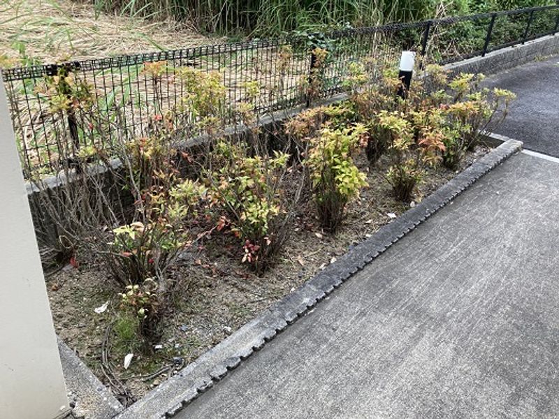 レオパレス萱場東 庭