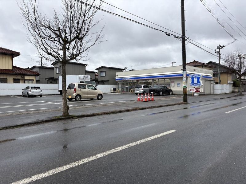 LEONEXT Musk Rose Surrounding area