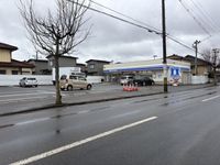 LEONEXT Musk Rose Surrounding area