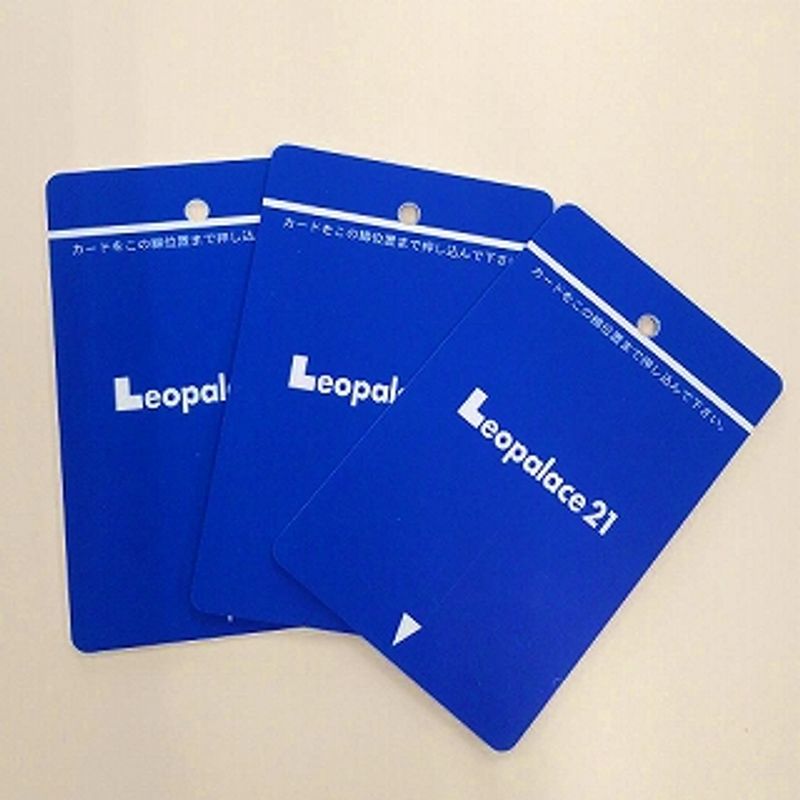 レオパレスとちの木 セキュリティ