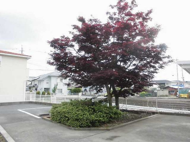 レオパレスアルエット 庭