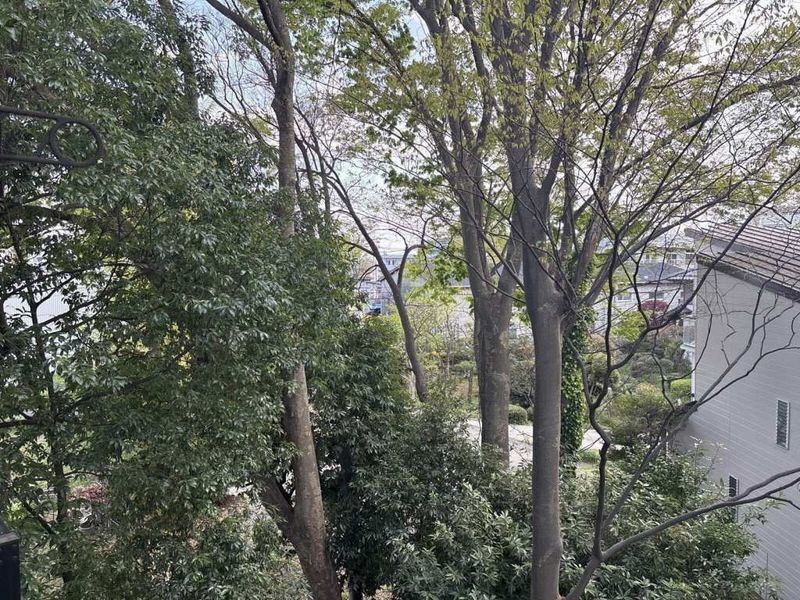 leopalace Kokage View