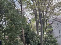 leopalace Kokage View