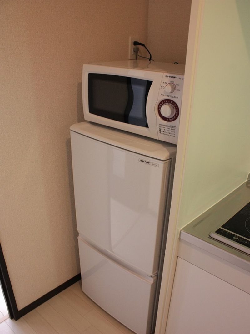 レオネクストドミールＣ その他