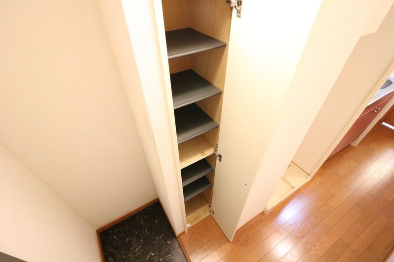 レオパレスひつかわ 玄関