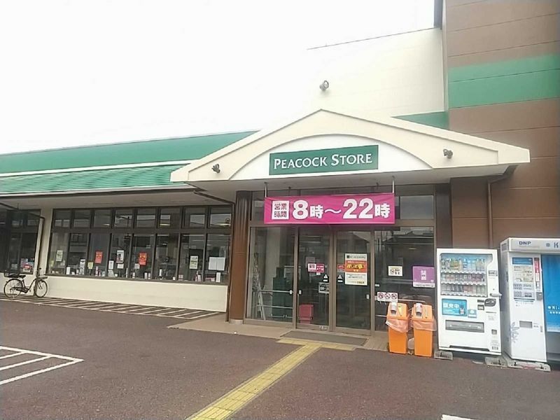 レオネクストスィングアイランド 周辺環境