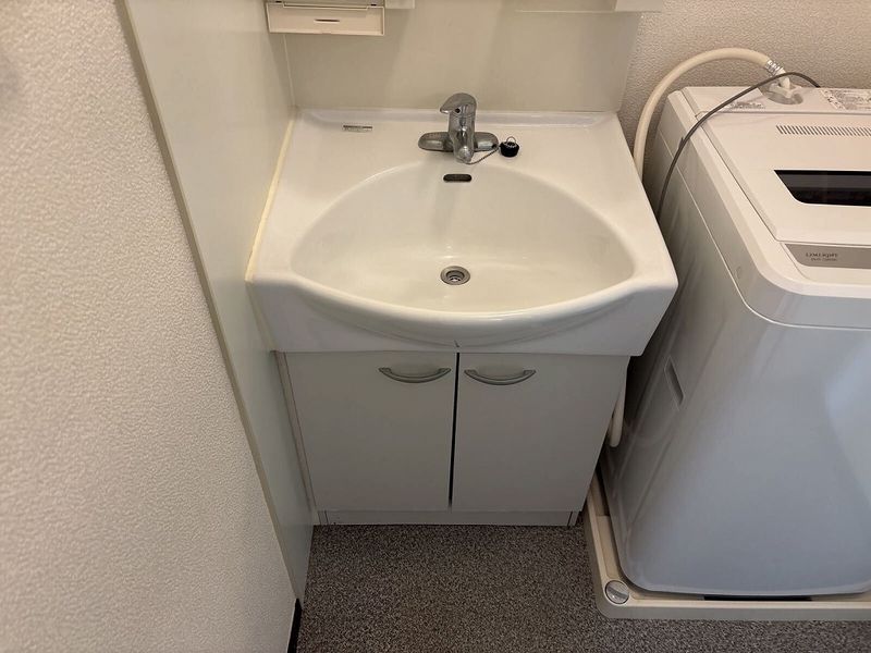 レオネクストタウンコートⅡ 洗面所