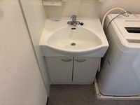 レオネクストタウンコートⅡ 洗面所
