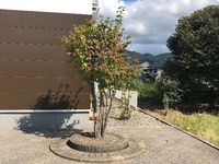 レオパレスノア その他
