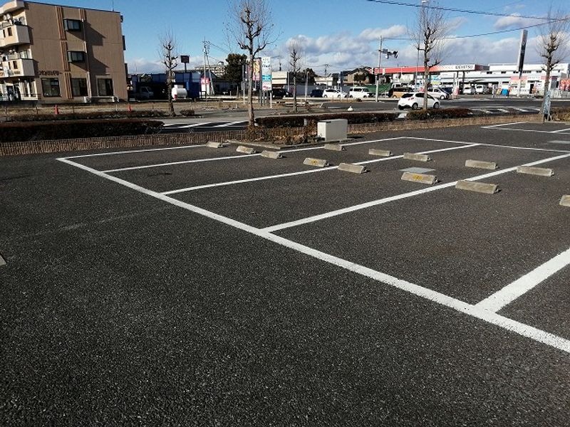 レオネクストポポラーレ 駐車場