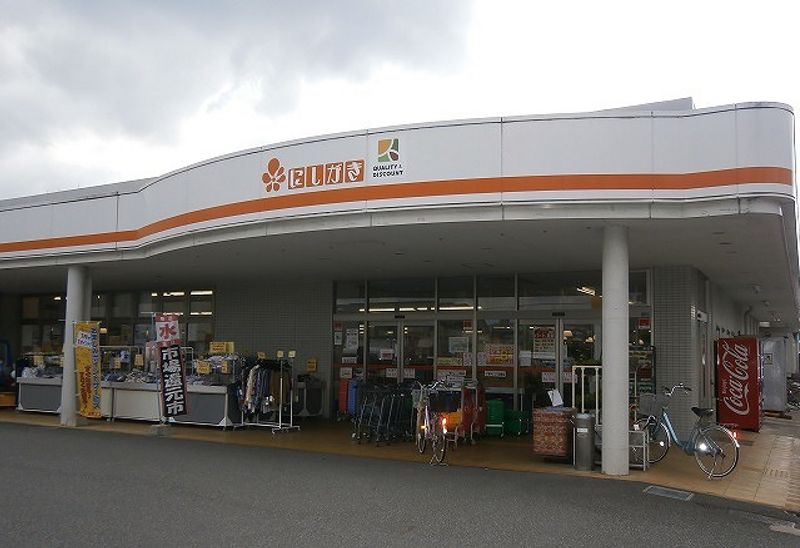 レオネクストグレイスコート大石 周辺環境
