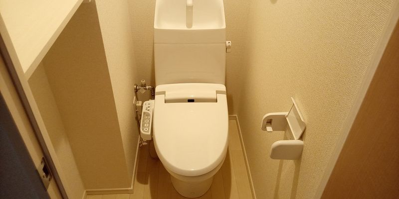 レオネクストけやき トイレ