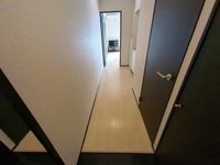 レオネクストルミニア その他