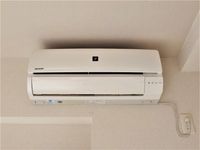 クレイノシャンス その他