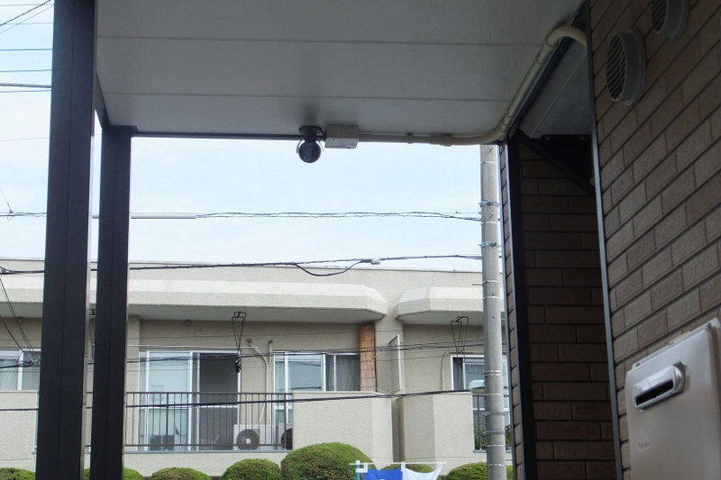 LEONEXT Plum West 기타