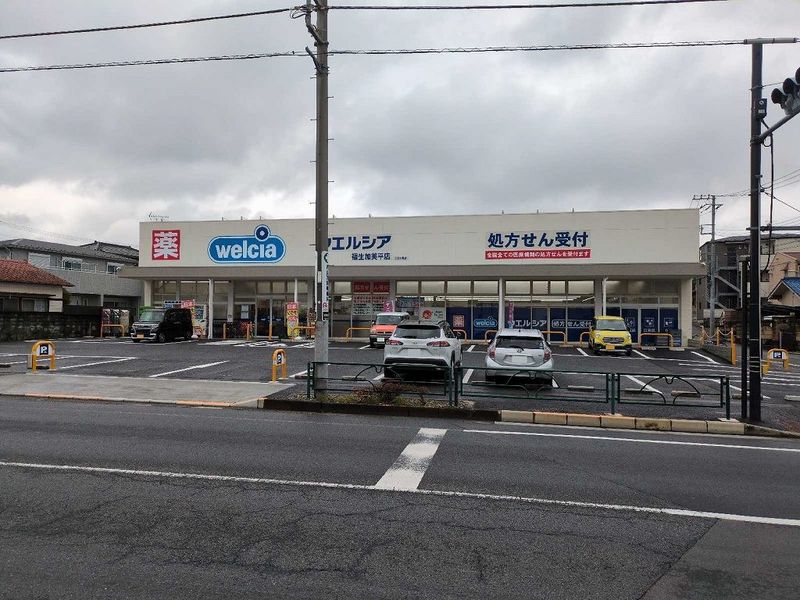 レオネクストオレガノ 周辺環境