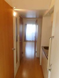 CLEINO Schwan 其他