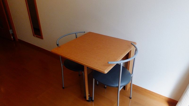 レオパレスプルケリマ その他