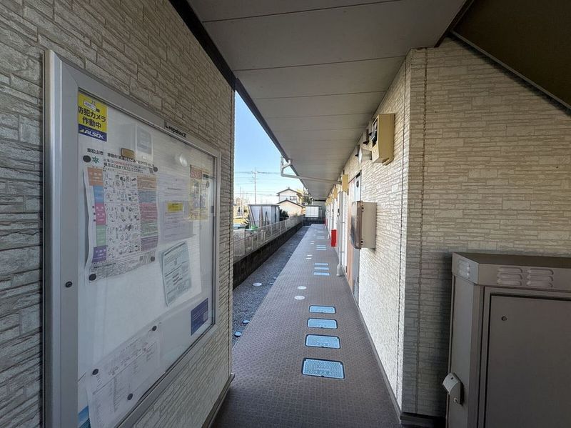 CLEINO Sunrise III 기타