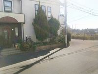 leopalace Roost 视野