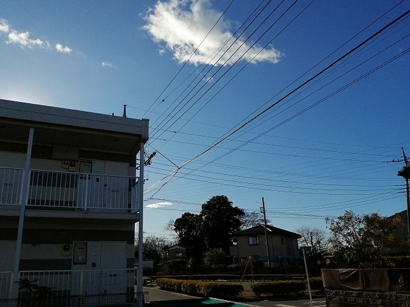 leopalace Legume 전망