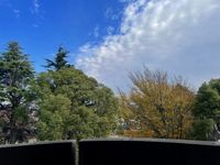 leopalace Patio 视野