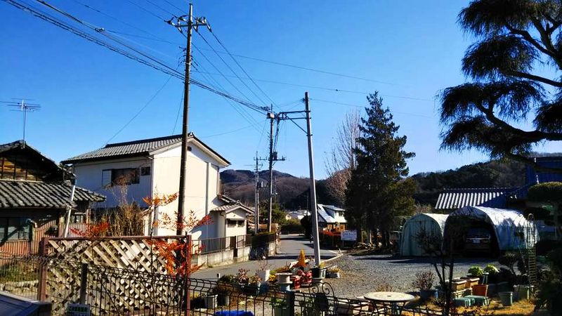 LEONEXT Stream Shine View