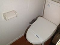 leopalace Monte Hills 卫生间