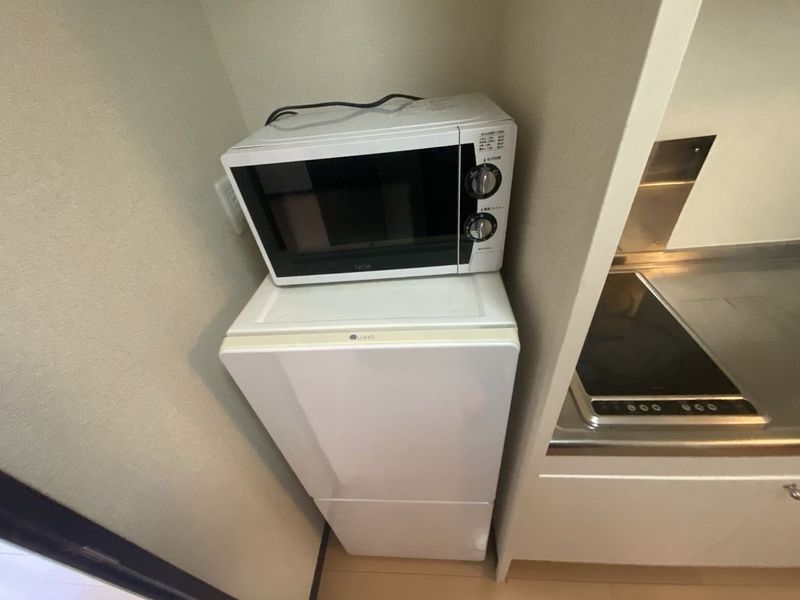 レオネクストプレイズ向ヶ丘 その他設備