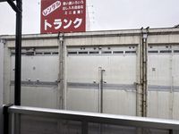 leopalace K Woods II 视野