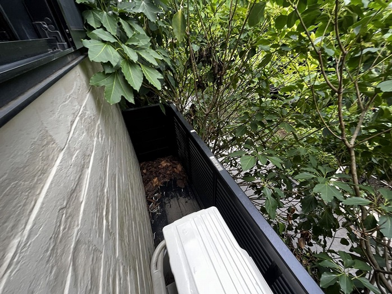 leopalace Bolero Tầm nhìn