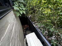 leopalace Bolero Tầm nhìn