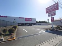 LEONEXT SHK Môi trường xung quanh