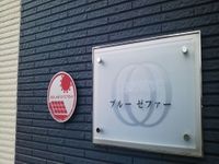 レオネクストブルーゼファー その他