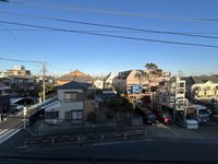 LEONEXT Chrysans View