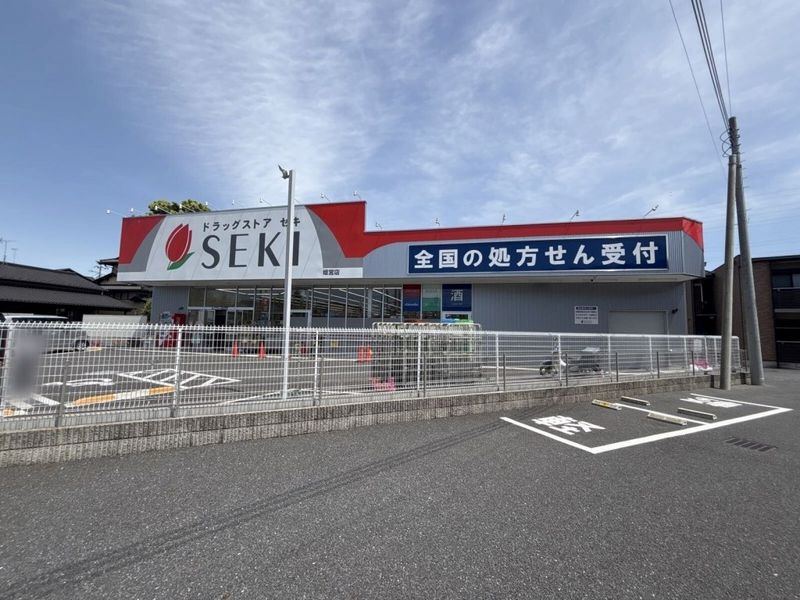 レオネクストヴィラージュ碧水Ⅱ 周辺環境
