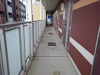 レオネクストサンベスト 共用部分