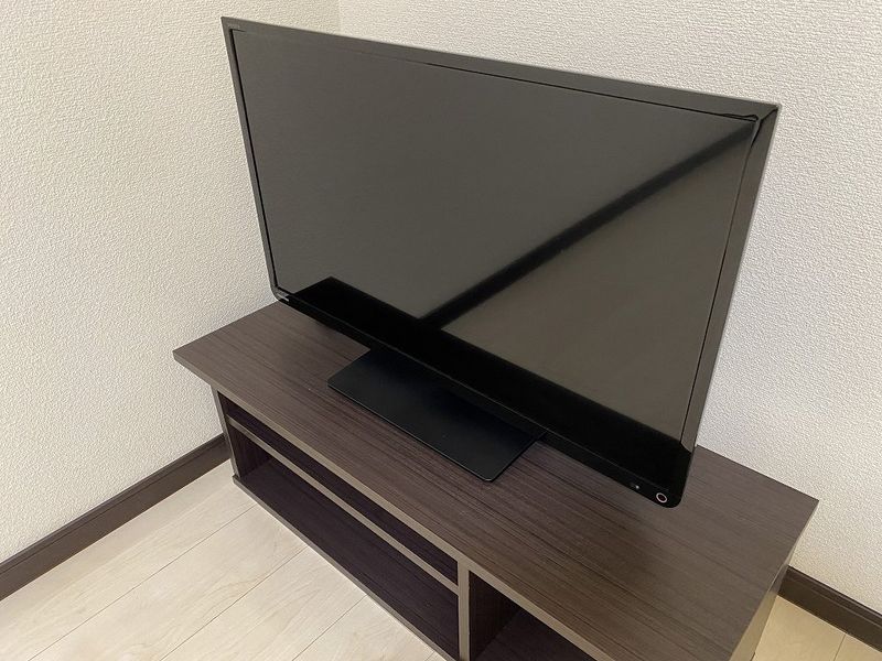 クレイノファレノプシス その他