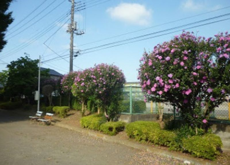 レオパレス霞ヶ関第二 周辺環境