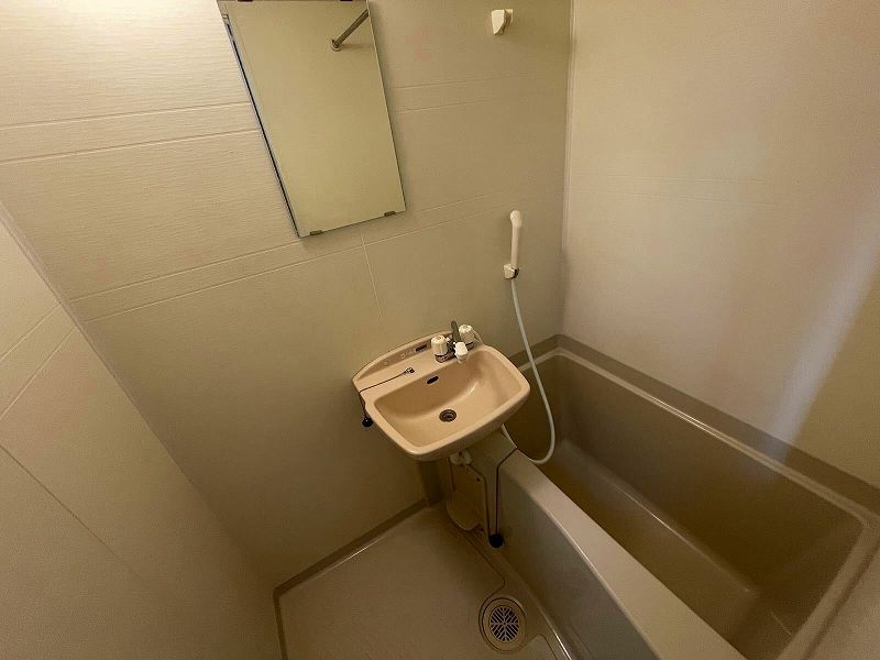 leopalace Tatsumi House Bathroom