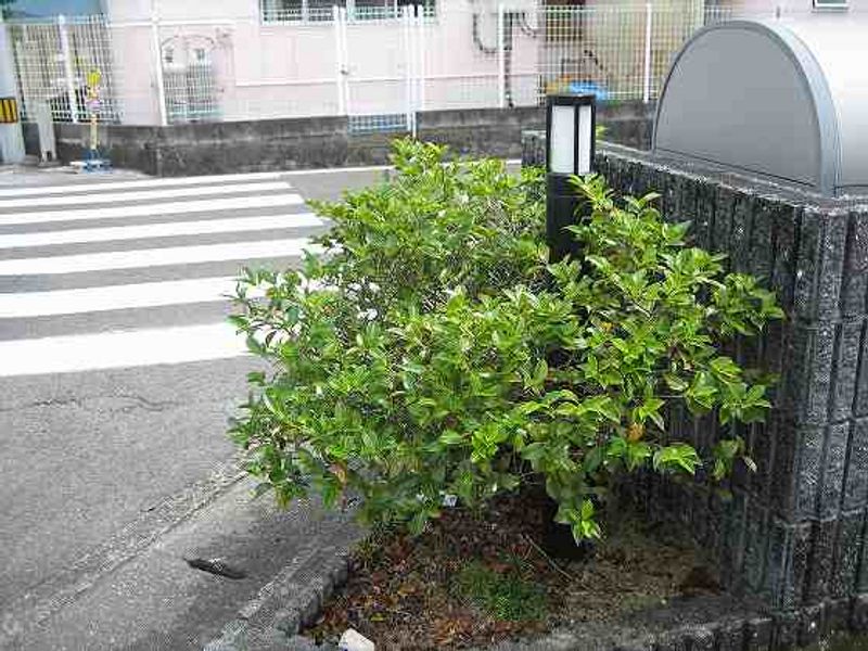 レオパレスＫサンハイム その他