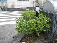 レオパレスＫサンハイム その他