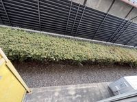 レオパレスドリーム田中２１ バルコニー