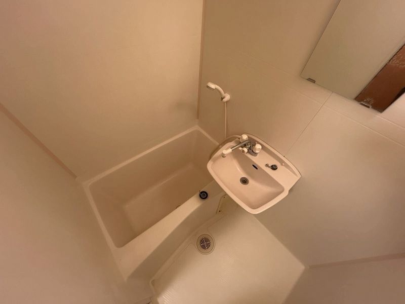 leopalace Plum II Bathroom