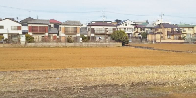 レオネクストＲＥＶＥ 周辺環境