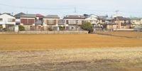レオネクストＲＥＶＥ 周辺環境